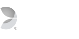 evolution-gaming.