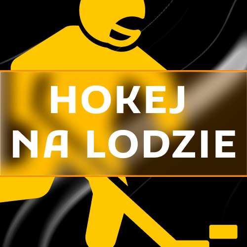 Wybierz najlepsze rynki na hokej na lodzie i stawiaj zakłady na ligę NHL w Spinamba.