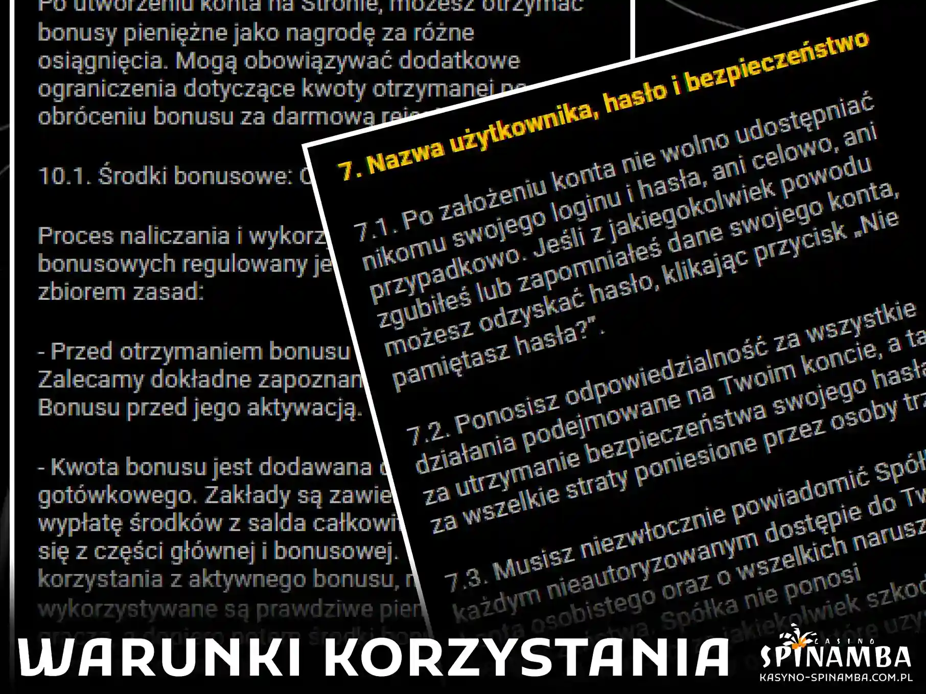 Przeczytaj pełny regulamin oraz warunki korzystania z usług i serwisu Spinamba.